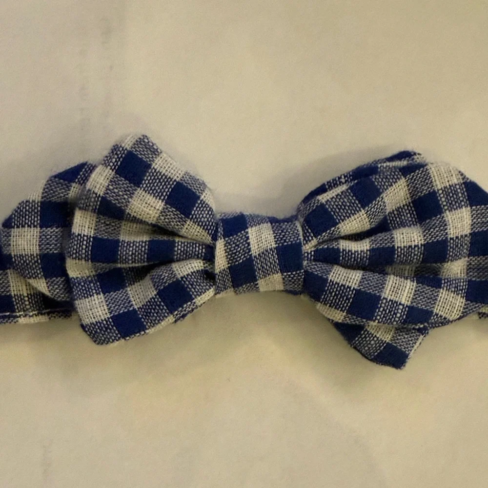 Blue Gingham Bow Tie for Kids